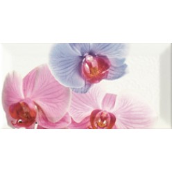 Decor Orchidea 1 Декор 10x20