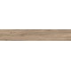Сальветти Керамогранит капучино SG514800R 20х119,5