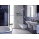 Унитаз подвесной Duravit Darling New 2545090000