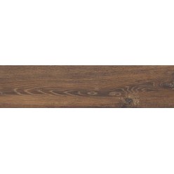 BG 05 15x60 неполир