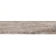 BG 03 15x60 неполир