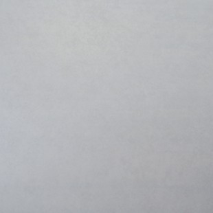 LF 01 60х60 неполир