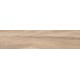 Seasons Spring Керамогранит 15х60,8