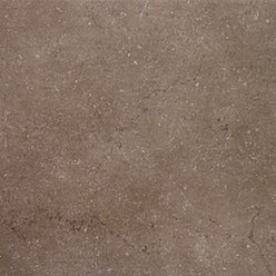 Дайсен коричневый 60х60 обрезной SG610500R