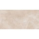 Парнас Керамогранит беж лаппатированный SG809802R 40х80