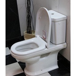 Унитаз-компакт Villeroy & Boch Hommage 6662 10R2 star white