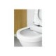 Унитаз подвесной Gustavsberg Hygienic Flush WWC 5G84HR01 безободковый